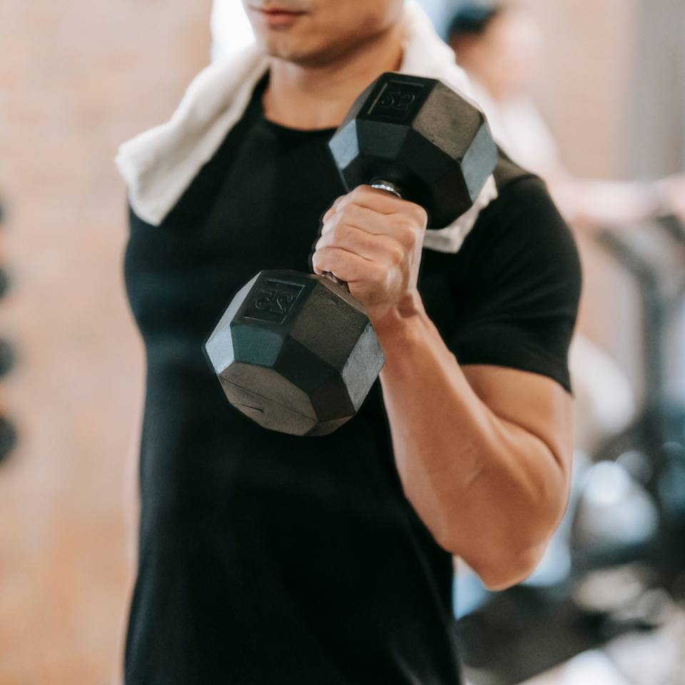 Fitness Equipment